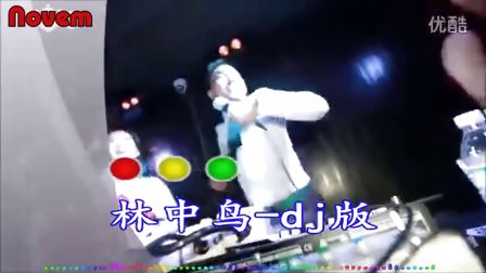 林中鸟dj - 视频MV
