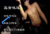 Avi-mp4-真有味道-何建清-车载夜店DJ视频