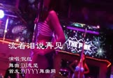 Avi-mp4-流着泪说再见-倪红-DJ志坚-车载美女热舞视频