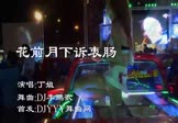 Avi-mp4-花前月下诉衷肠-丁姐-DJ李鹏歌-车载美女热舞视频