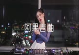 Avi-mp4-阿果吉曲-海来阿木-DJwave-车载美女打碟视频