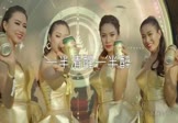 Avi-mp4-一半清醒一半醉-黄静美-乔洋-DJ刘超-车载派对舞曲视频