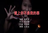 Avi-mp4-爱上你不是我的罪-黄美琪-DJ王绎龙-车载夜店DJ视频