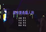 Avi-mp4-原来爱是骗人的-罗艺-DJ阿远-车载夜店DJ视频