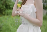 Avi-mp4-别哭我最爱的人-孙露-DJ刘超-车载美女写真视频