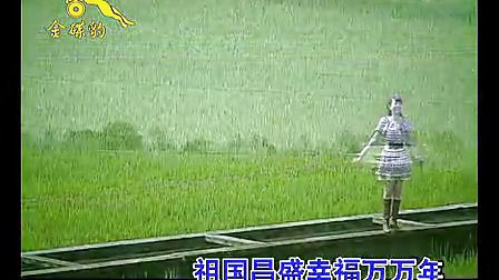离乡的人儿回家过年-卓依婷