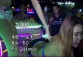 Avi-mp4-九张机-叶炫清-车载美女热舞视频