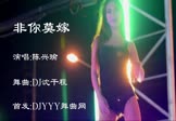 Avi-mp4-非你莫嫁-陈兴瑜-车载美女热舞视频