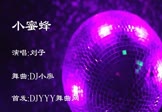 Avi-mp4-小蜜蜂-刘子毅-车载夜店DJ视频