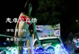 Avi-mp4-患难见真情-曹权权-DJCandy-车载美女热舞视频