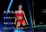 Avi-mp4-九月九的酒-陈少华-DJ瑶瑶-车载美女热舞视频