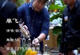 Avi-mp4-单飞-胡灵-MCYY-车载夜店DJ视频