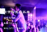 Avi-mp4-离开你我好孤单-范思威-DJGwing-车载夜店DJ视频