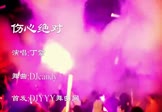 Avi-mp4-伤心绝对-丁紫-车载夜店DJ视频