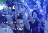Avi-mp4-那滋味-王志-车载夜店DJ视频