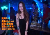 Avi-mp4-流浪-谭维维-DJLeek-车载夜店DJ视频