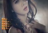 Avi-mp4-流浪花-任震昊 斯婷-DJ欧东-车载美女写真视频