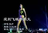 Avi-mp4-爱到飞蛾扑向火-张萨-DJ王贺-车载美女热舞视频