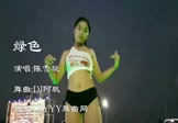 Avi-mp4-绿色-陈雪凝-DJ阿帆-车载美女热舞视频