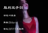 Avi-mp4-胜利双手剑-叶振棠-DJshevin-车载美女热舞视频