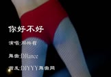 Avi-mp4-你好不好-周兴哲-DJlance-车载美女热舞视频