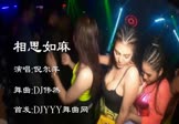 Avi-mp4-相思如麻-倪尔萍-DJ伟然-车载派对DJ舞曲视频