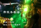 Avi-mp4-带我去看海-张冬玲-DJ何鹏-车载派对舞曲视频