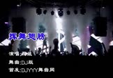 Avi-mp4-挥舞翅膀-花姐-车载夜店DJ视频