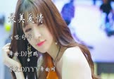 Avi-mp4-最美爱情-勾辉-DJ何鹏-车载美女模特视频