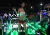 Avi-mp4-喝点小酒-王不火-DJ何鹏-车载美女热舞视频
