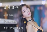 Avi-mp4-爱是陪伴-红禹-DJ何鹏-车载美女模特视频