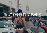 Avi-mp4-懂了你的情伤了我的心-晨熙-DJ欧东-车载夜店DJ视频