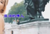 Avi-mp4-流泪的情人-张冬玲-DJ何鹏-车载夜店DJ视频