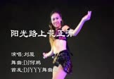 Avi-mp4-阳光路上花正开-刘厦-DJ何鹏-车载美女热舞视频