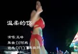 Avi-mp4-温柔的伤-王峰-DJ何鹏-车载美女热舞视频
