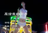 Avi-mp4-原谅我的离去-阿乐-DJ何鹏-车载美女热舞视频