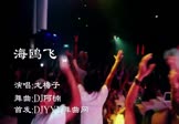 Avi-mp4-海鸥飞-龙梅子-DJ阿楠-车载夜店DJ视频