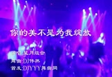 Avi-mp4-你的美不是为我绽放-星月组合-DJ伟然-车载夜店DJ视频