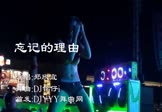 Avi-mp4-忘记的理由-郑欣宜-DJ铭仔-车载美女热舞视频