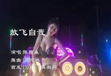 Avi-mp4-放飞自我-陈雅森-DJ何鹏-车载美女热舞视频
