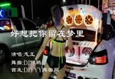 Avi-mp4-好想把你留在梦里-志王-DJ何鹏-车载美女热舞视频