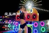 Avi-mp4-爱是辣舞-贾婷婷-DJ小廖-车载美女热舞视频
