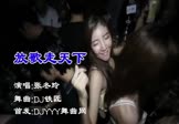 Avi-mp4-放歌走天下-张冬玲-DJ铁匠-车载夜店DJ视频
