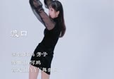 Avi-mp4-渡口-何鹏-芳子-DJ何鹏-车载美女跳舞视频