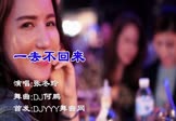 Avi-mp4-一去不回来-张冬玲-DJ何鹏-车载夜店DJ视频