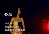 Avi-mp4-备胎-樊少华-DJ何鹏-车载美女热舞视频