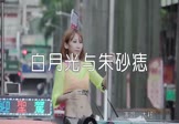 Avi-mp4-白月光与朱砂痣-大籽-DJ小宝-车载美女热舞视频