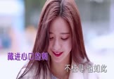 Avi-mp4-莫问归期-蒋雪儿-Dj刚仔-车载美女写真视频