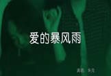 Avi-mp4-爱的暴风雨-朱克-DJ伯格-车载夜店DJ视频