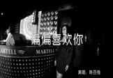 Avi-mp4-偏偏喜欢你-陈百强-DJ阿福-车载夜店DJ视频